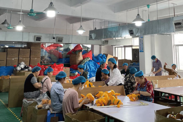 玩具工厂包装部